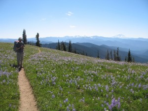 Mt. Adams from the Wonderland trail