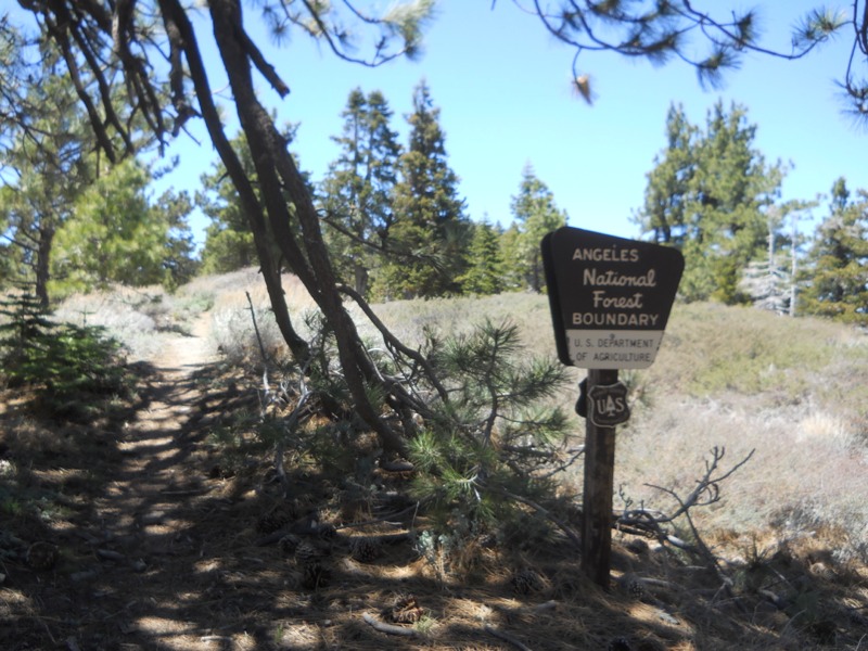Day 26 ridge to Wrightwood via Hwy 2 18 miles Keith and Jen's