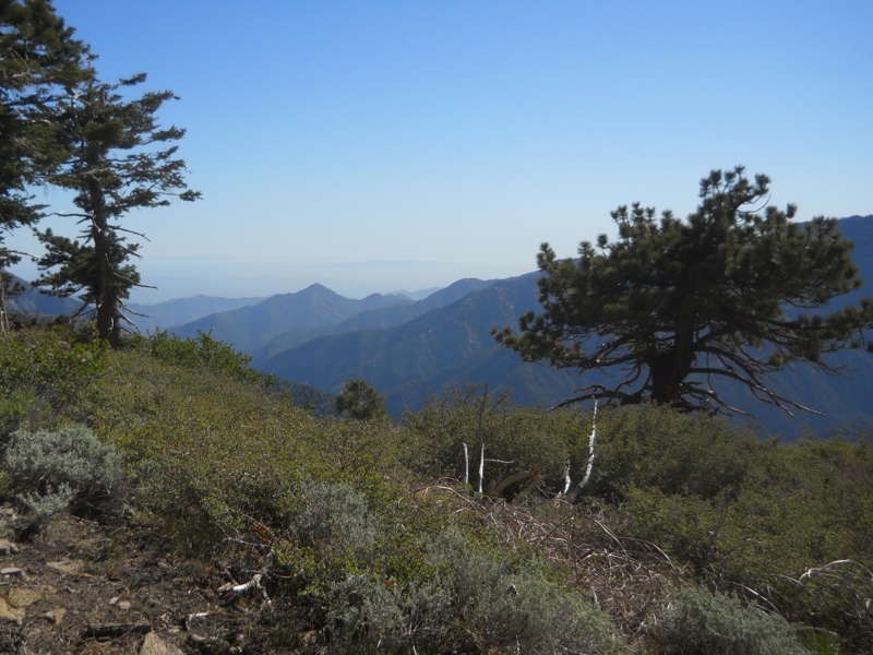 Day 26 ridge to Wrightwood via Hwy 2 18 miles Keith and Jen's