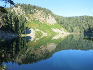 IMG_1208