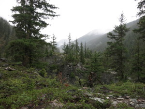 IMG_1448